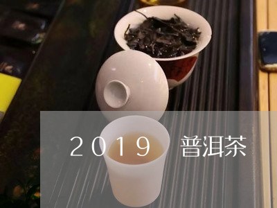 2019 普洱茶/2023041284836